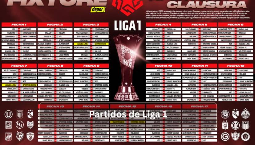 Partidos de Liga 1