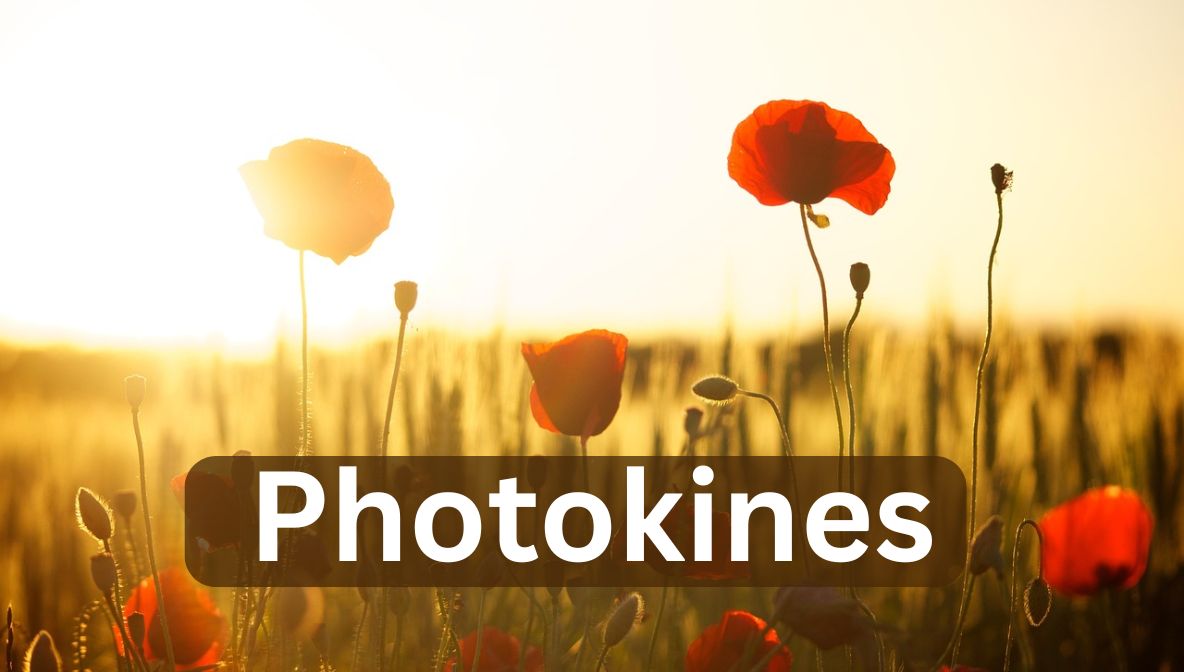 photokines