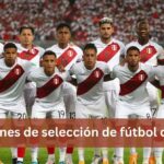 posiciones de selección de fútbol del perú