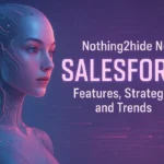 Nothing2Hide.net Salesforce: Secure CRM Integration